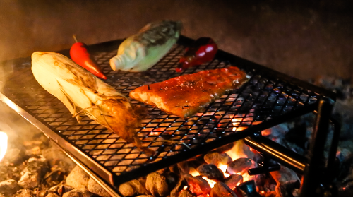 Over fire camp grill clearance